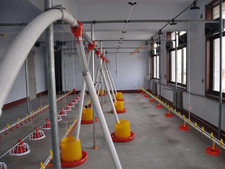 Flexible Auger Machine (3)